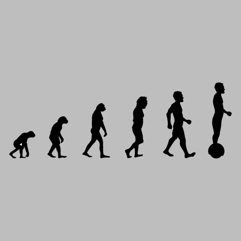 Gyrowheel evolution