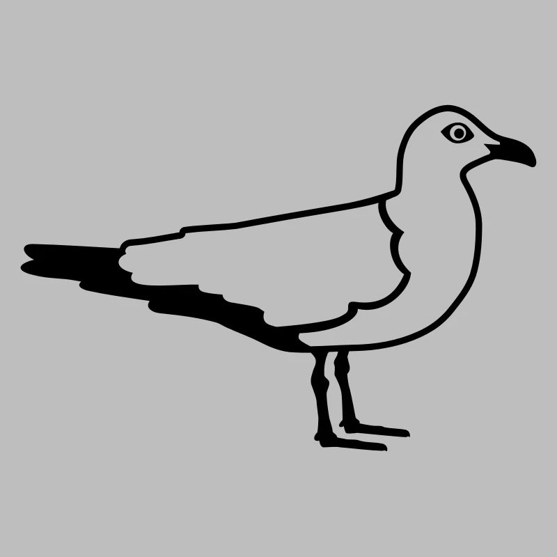 Möwe