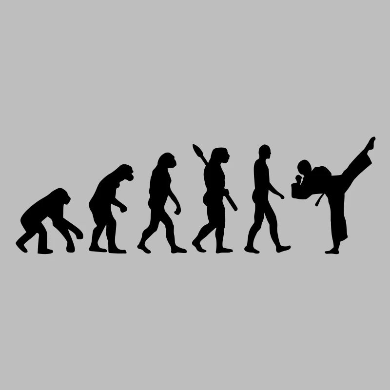 Evolution Karate
