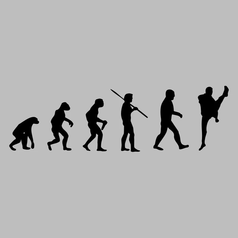 Kampfsport Evolution