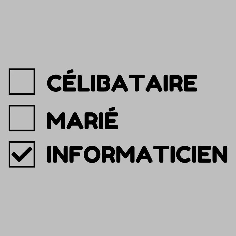 Computer Engineer Informatiker Informaticien