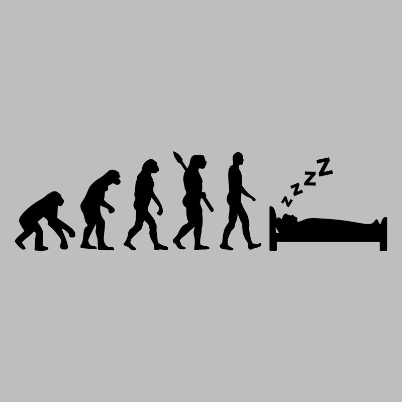 Evolution Dormir