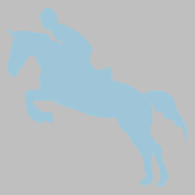 equitation cavalier 3 obstacle cheval saut