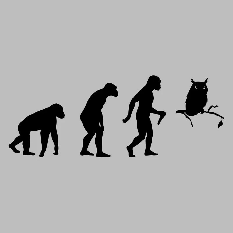 Owl Evolution