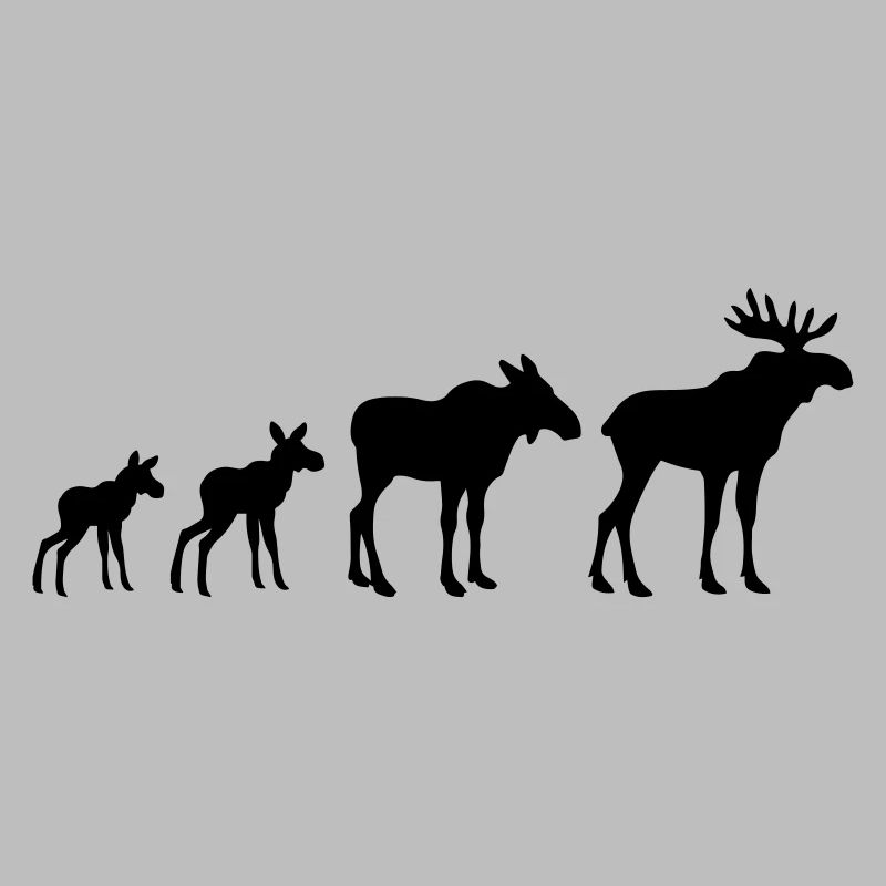 Elk Evolution