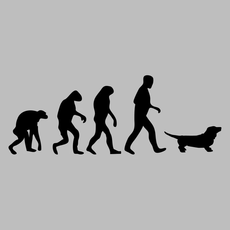 dackel evolution