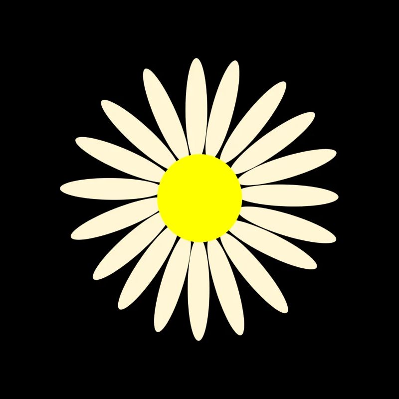 daisy
