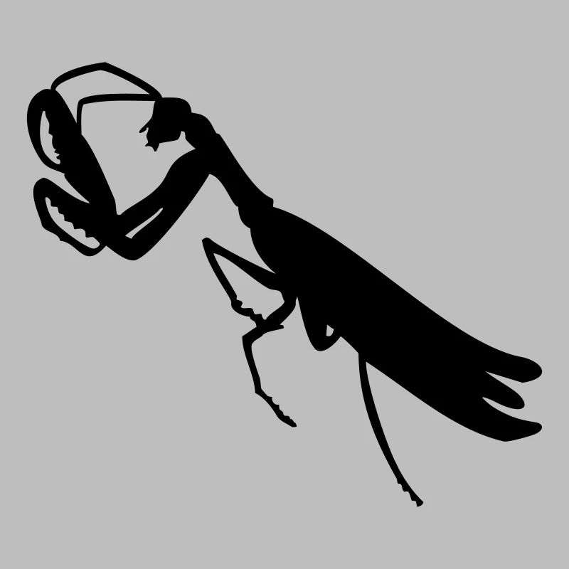 Gottesanbeterin / mantis (1c)