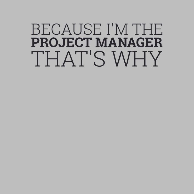 « Project Manager Thats Why | Project Manager »