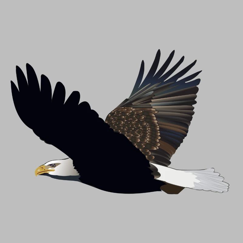 eagle eagle buzzard falcon habicht hawk falcon11