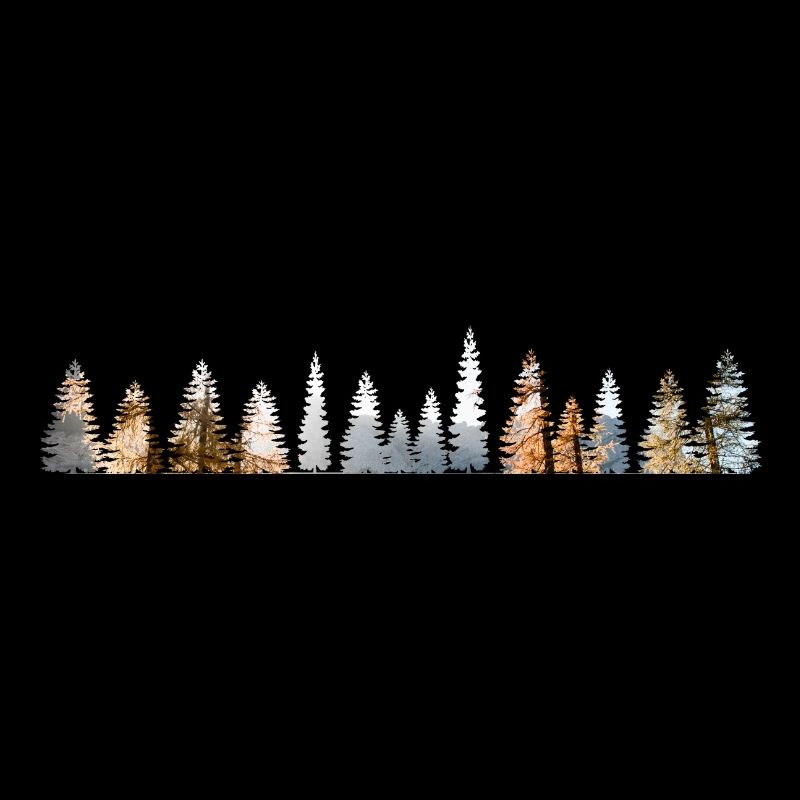 Forest window