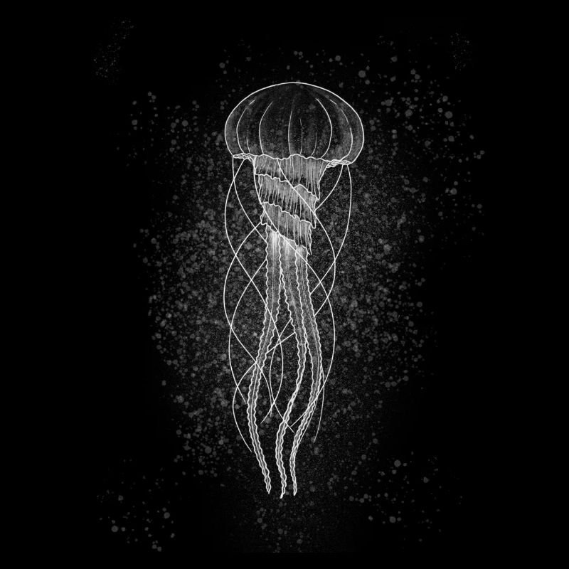 Méduse blanche