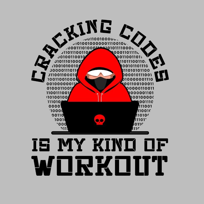 Cybersecurity Professional Hacker Cracking Codes