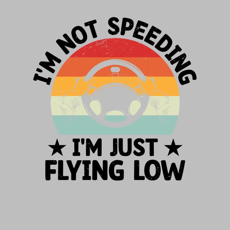Driving License Passed New Driver Permit Driving S