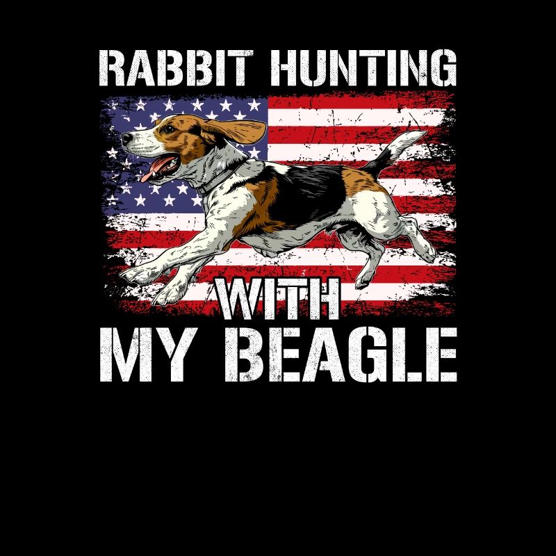 Chasse au lapin Beagle, Beagle