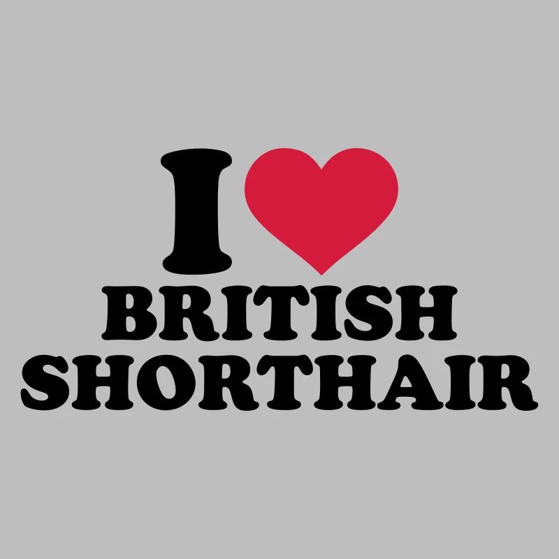 Chat British shorthair