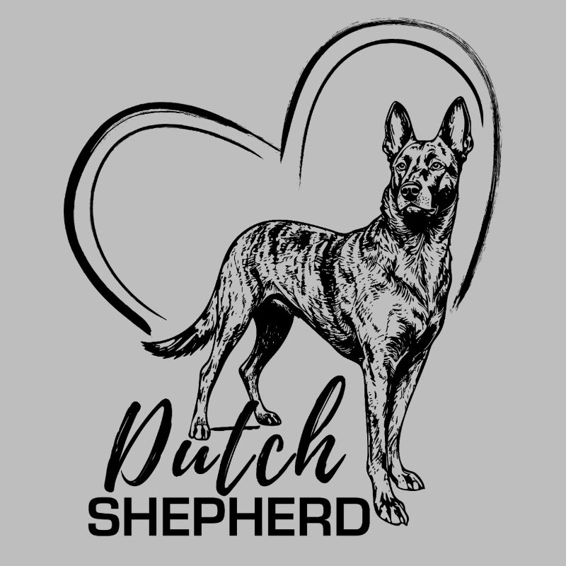 Dutchie - Holländischer Schäferhund