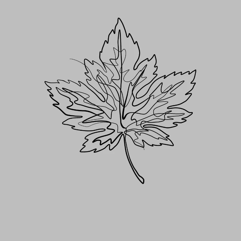 Érable feuille d’érable - one line drawing