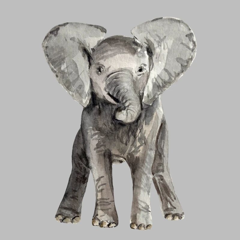 Éléphant bébé