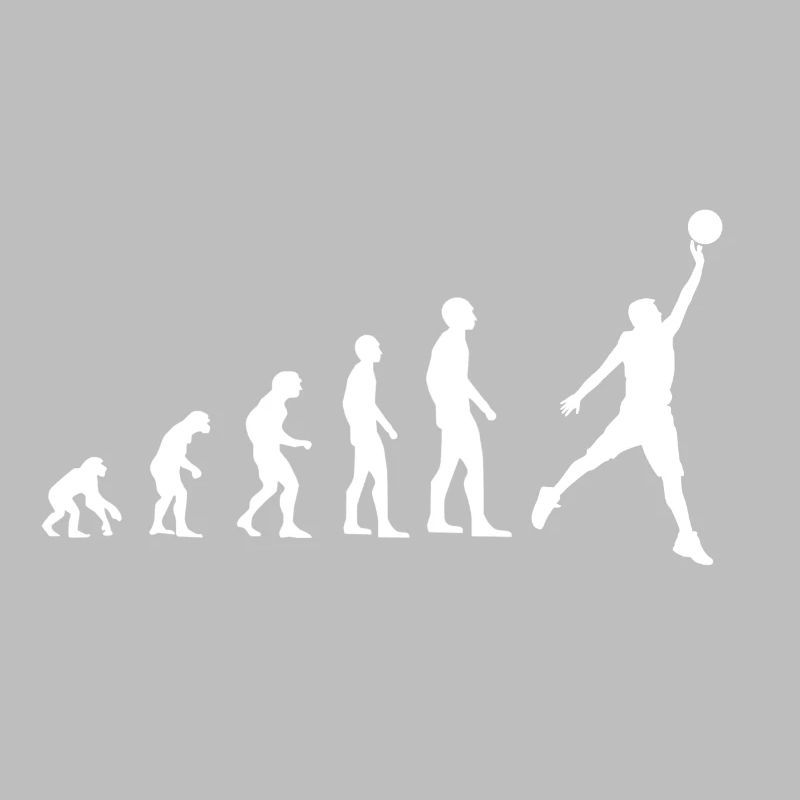 Evolution Basketball Sport hell