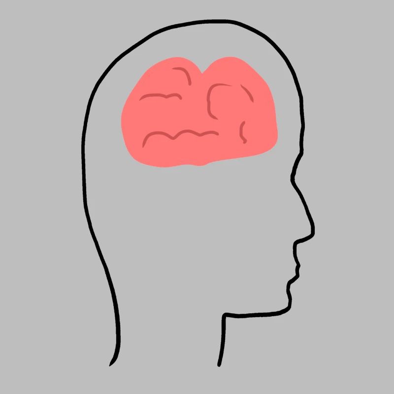 Head Profile People Side Brain Form