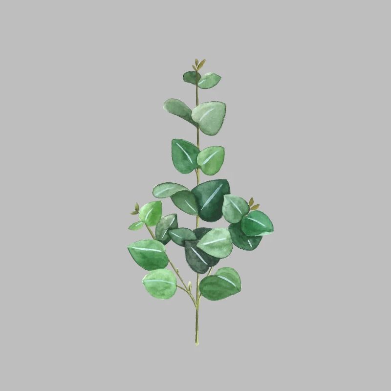Green Eucalyptus