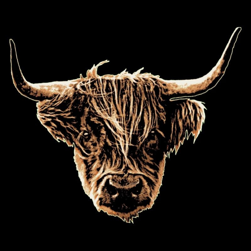 Highland cattle
