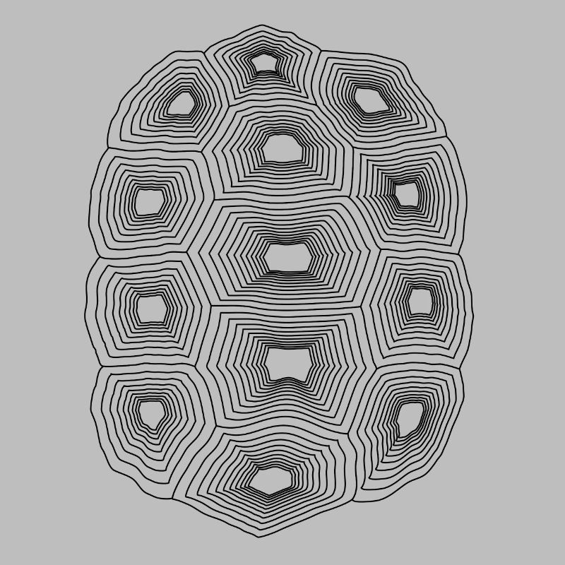 Turtle tank structure lines gift