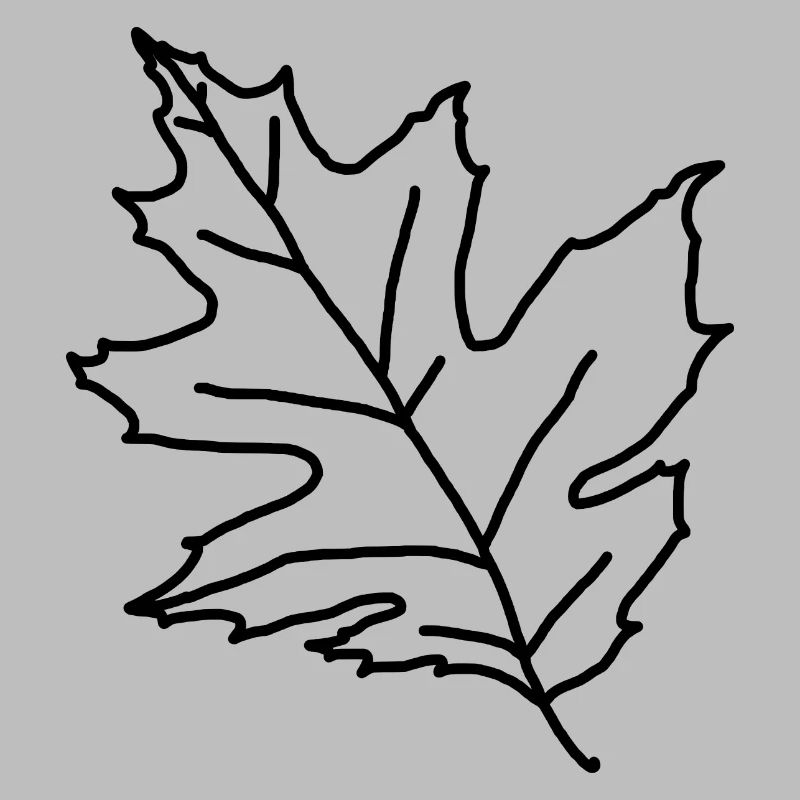 Maple Maple Leaf Maple Leaf Tree Forest Forest