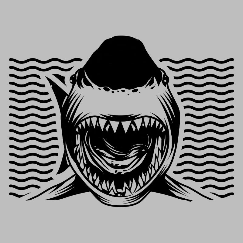 Requin requin - Shark