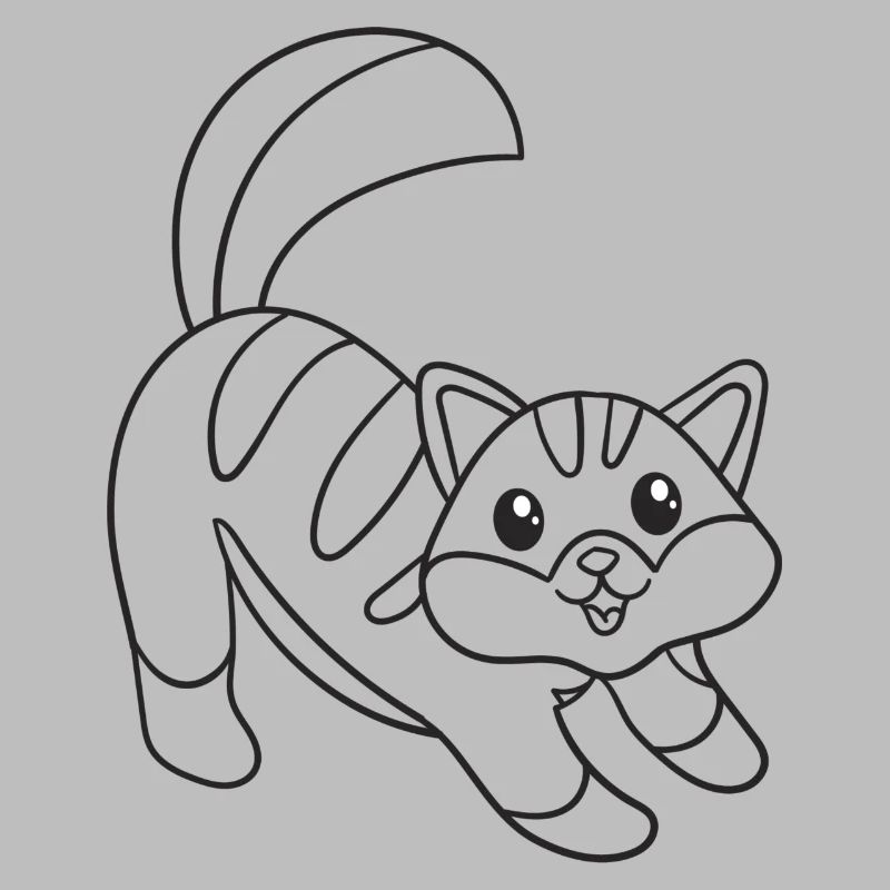 Katze, Kätzchen, süß, Geschenk, Geschenkidee