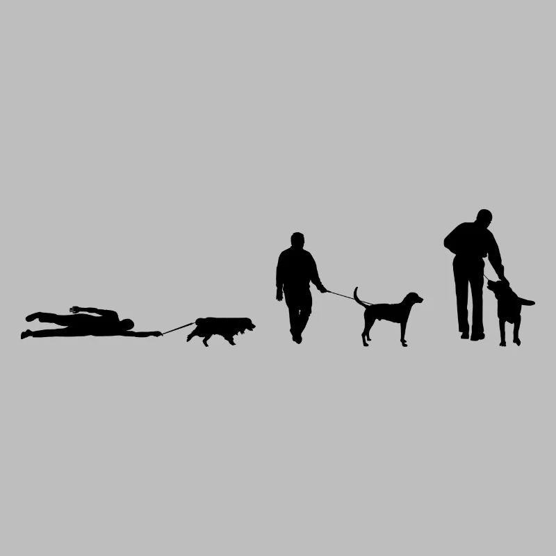Optez pour une évolution de chien de promenade
