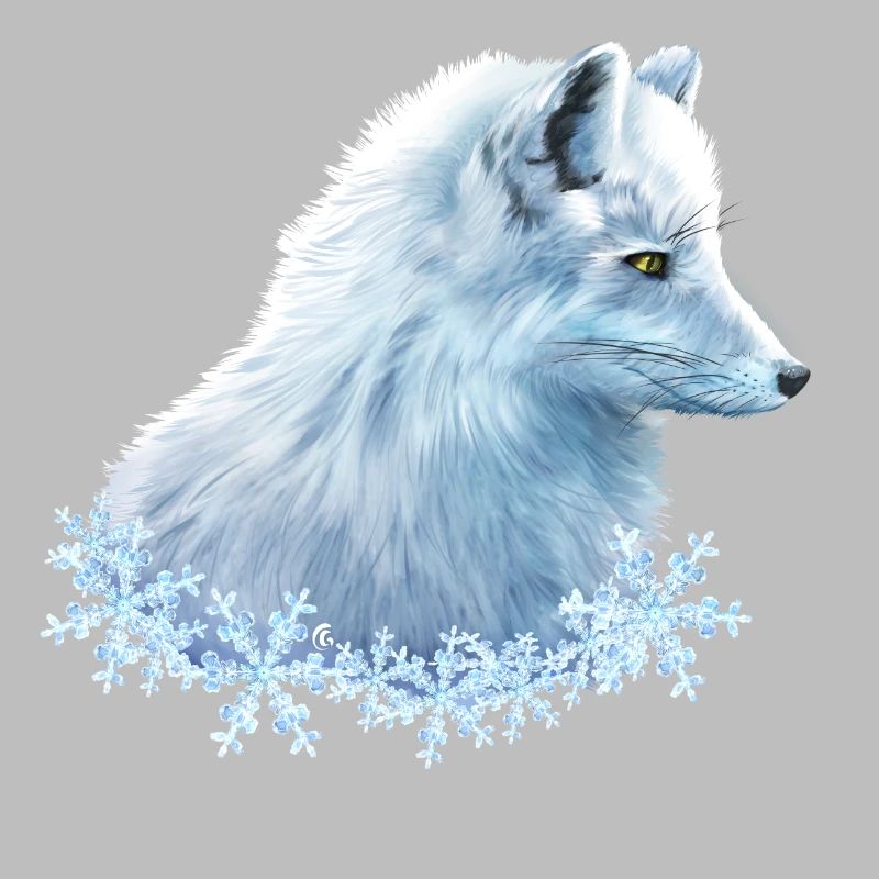 Polarfuchs