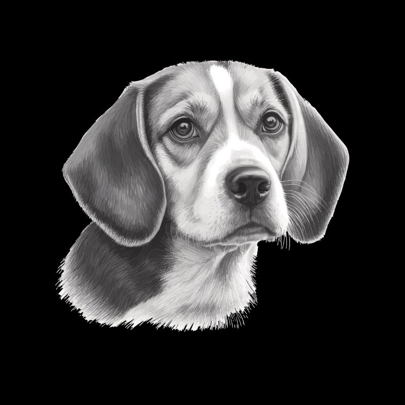 Bleistift Beagle Bild Porträt