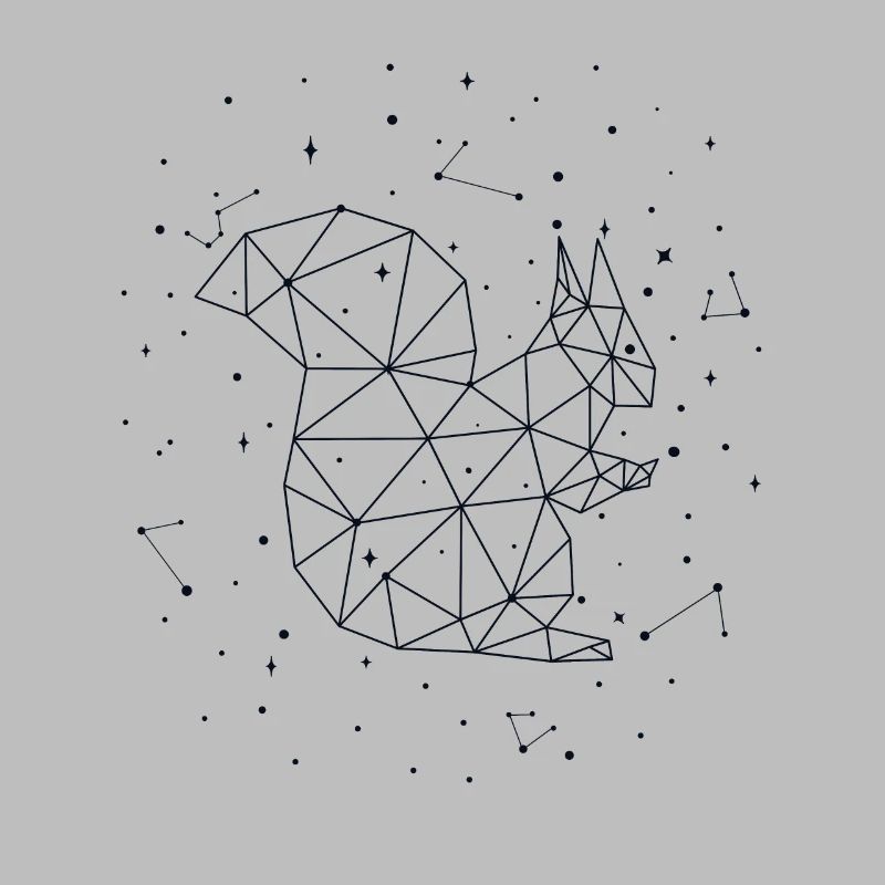 Constellation Squirrel Constellation Squirrel
