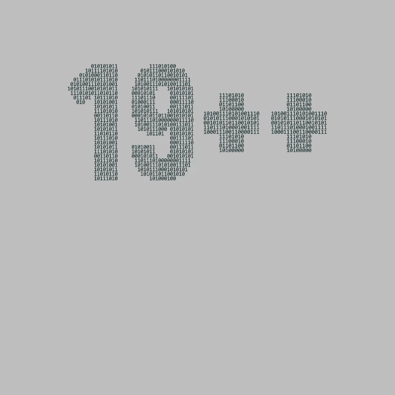 19++ Programmeur Ingénieur logiciel Codeur 20e