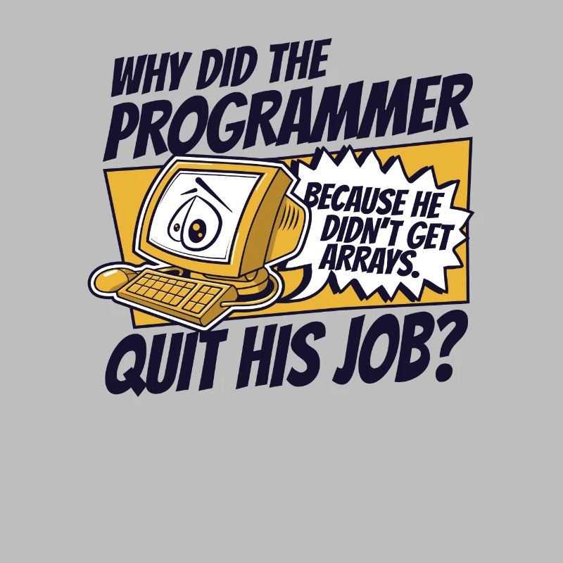 Why Did Programmer Quit Job Developer Coder
