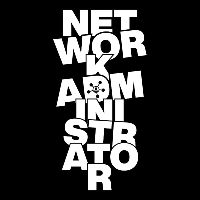 Professional Work - Network Administrator
