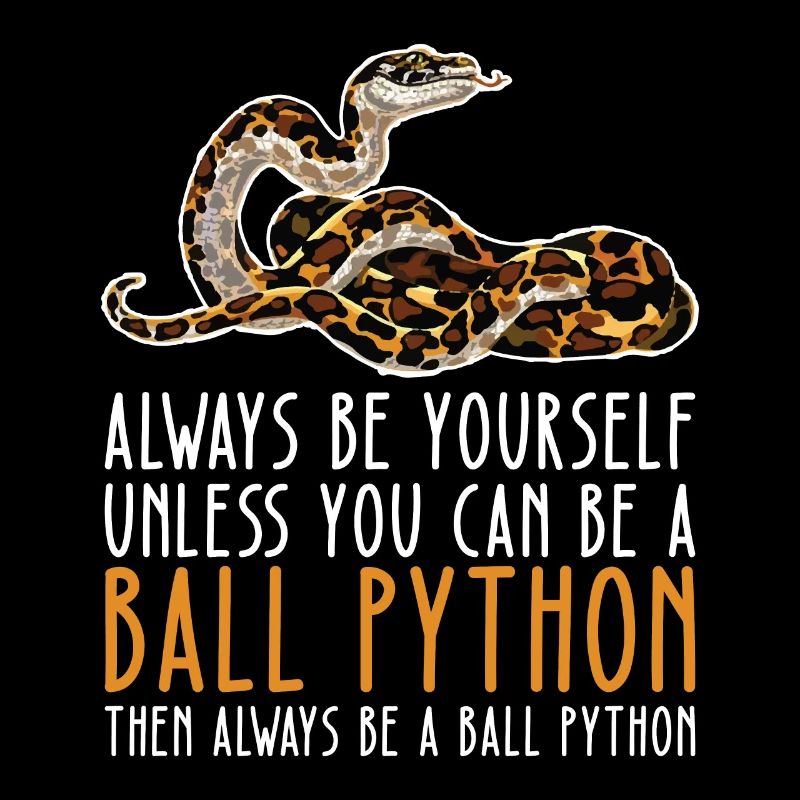 Soyez vous-même – King Python