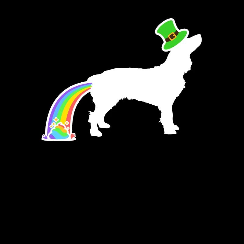 St. Patricks Hund - Boykin Spaniel