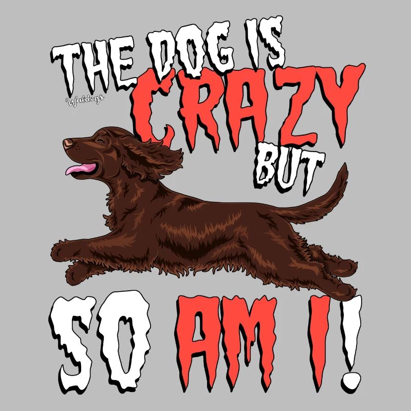 cockercrazy2