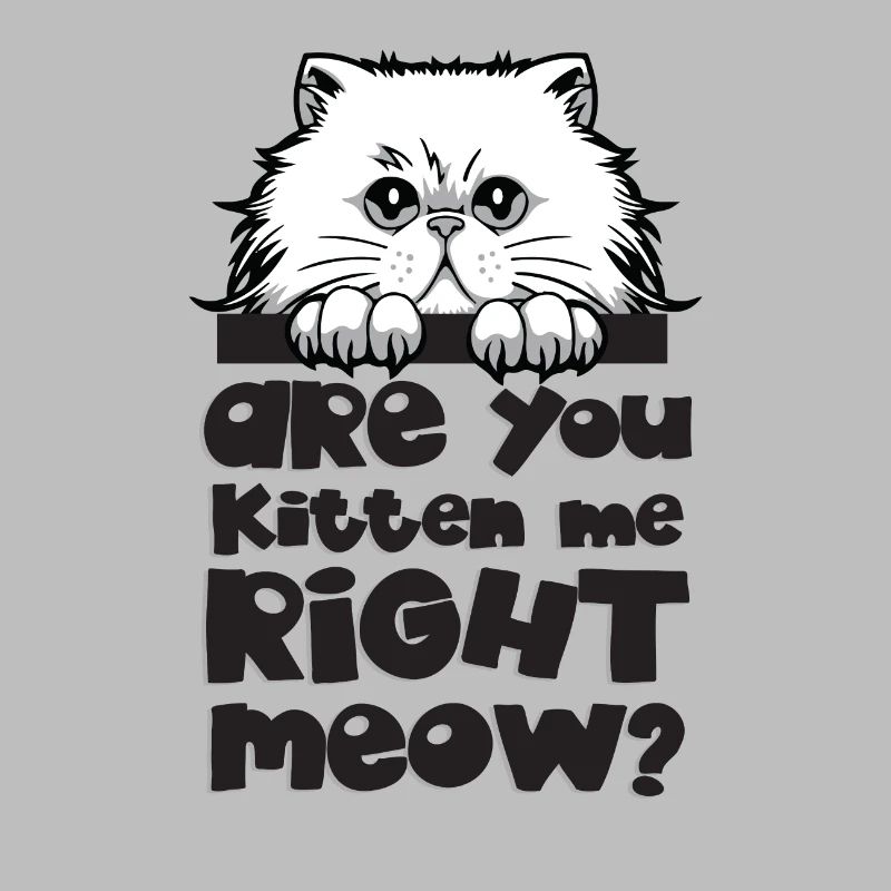 Cadeau chat chat face griffe course chat