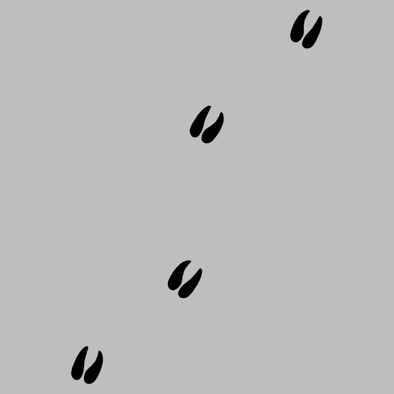 Mouflon cornes de bélier bélier détecte