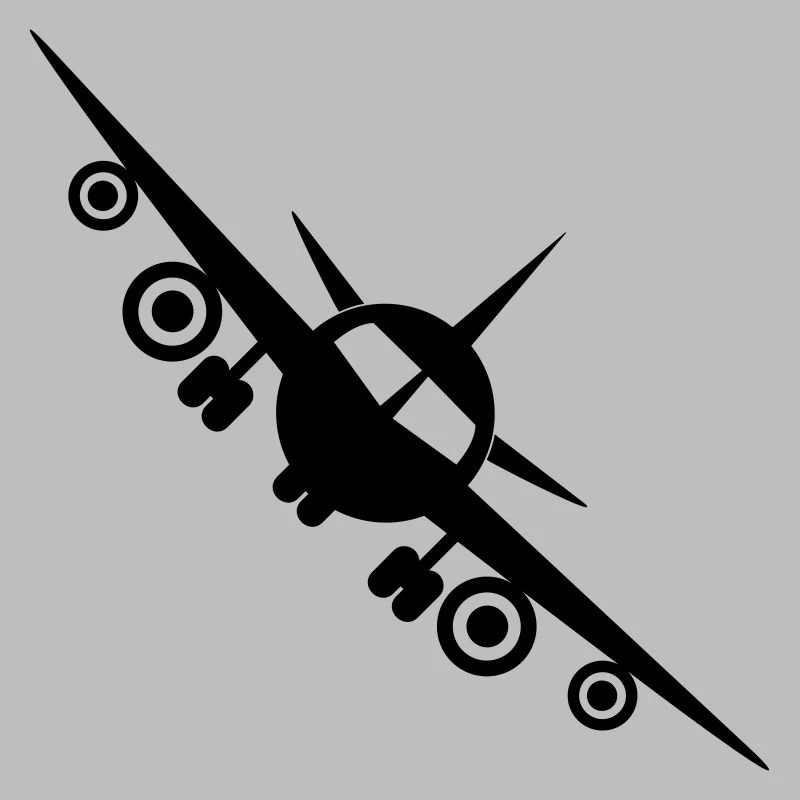 Fly a plane