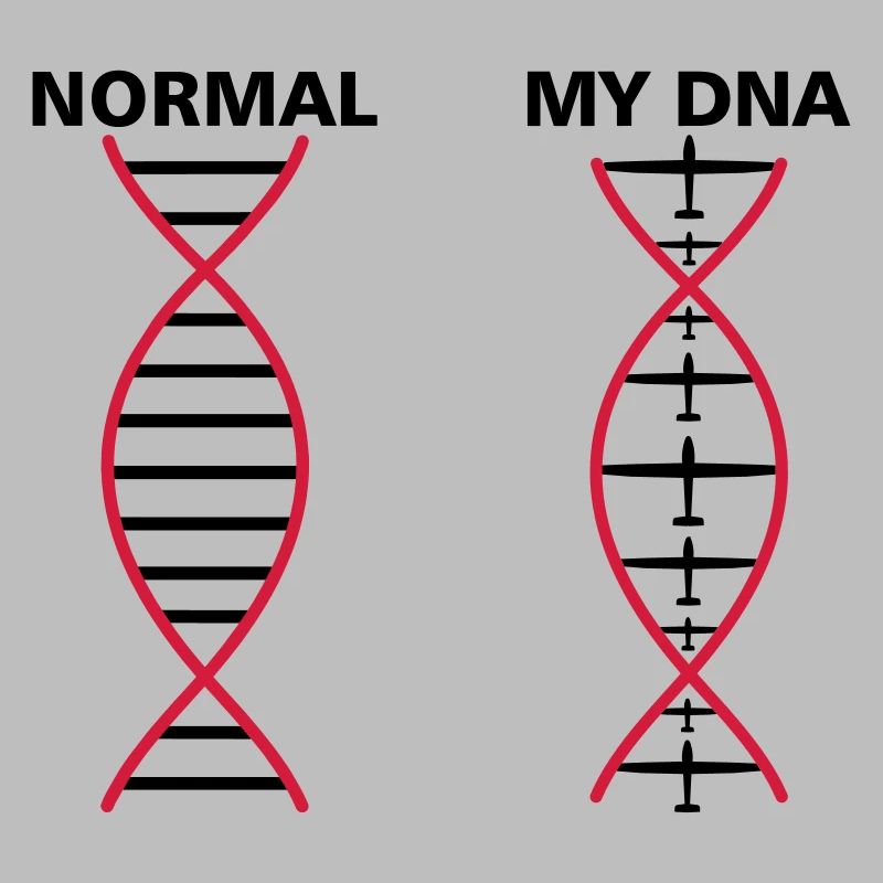 DNA glider gift funny