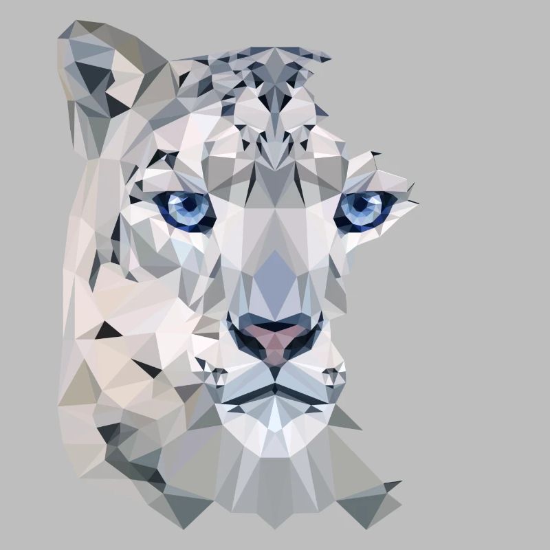 Split Leopard Snow