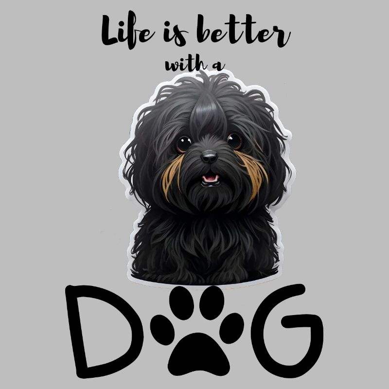 Joie de vivre avec un Havapoo