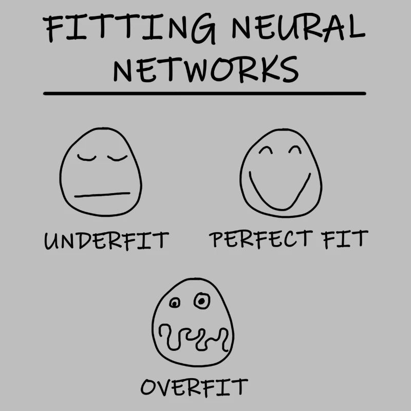Datascience: Neural Networks Model Fitting (Black)