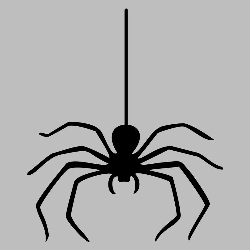 Spider / Spider