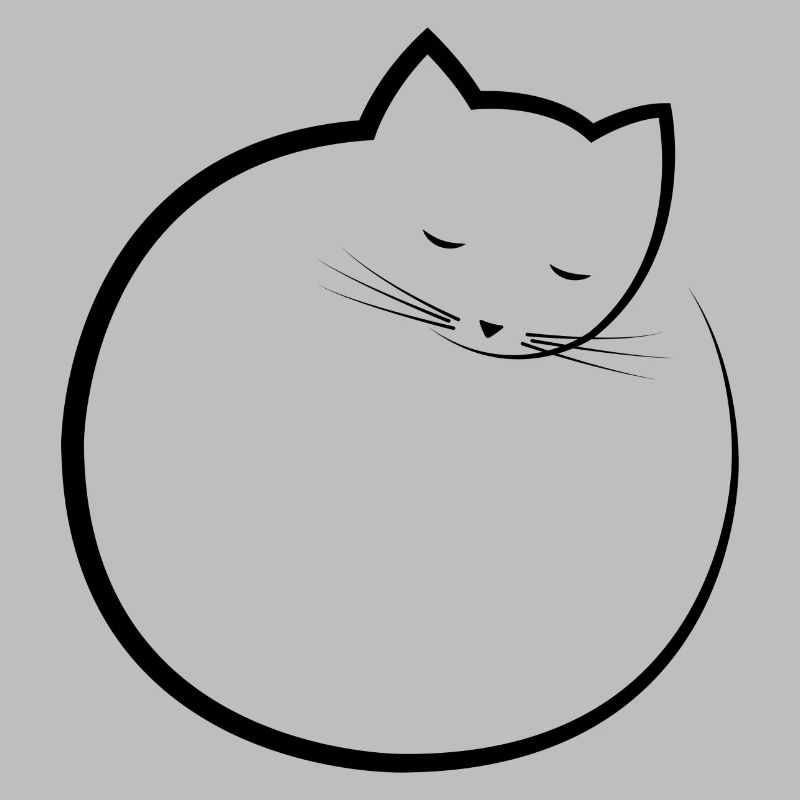 sleeping cat